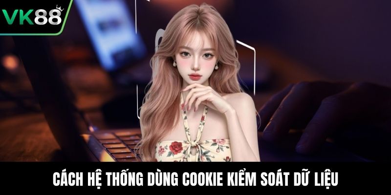 Cách hệ thống dùng cookie kiểm soát dữ liệu