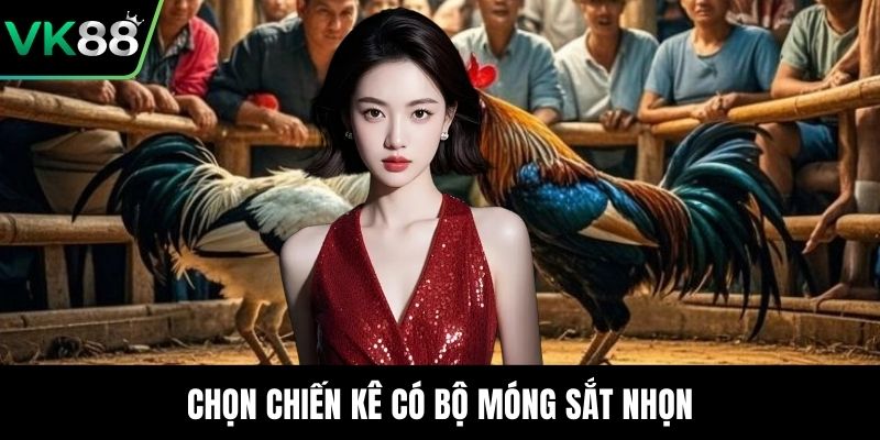 Chọn chiến kê có bộ móng sắt nhọn
