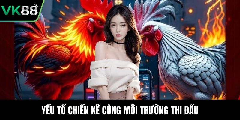 Yếu tố chiến kê cùng môi trường thi đấu
